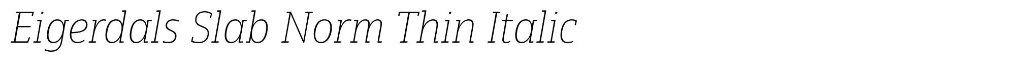 Eigerdals Slab Norm Thin Italic image